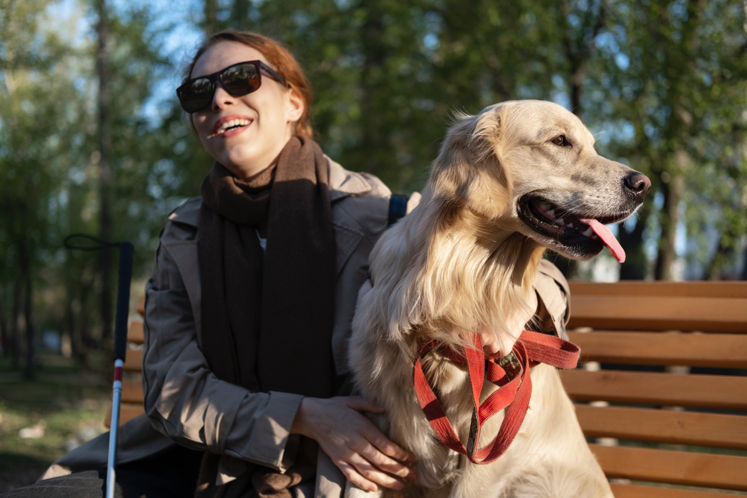 Pet Training: How to Teach Your Dog to Be a Service Dog