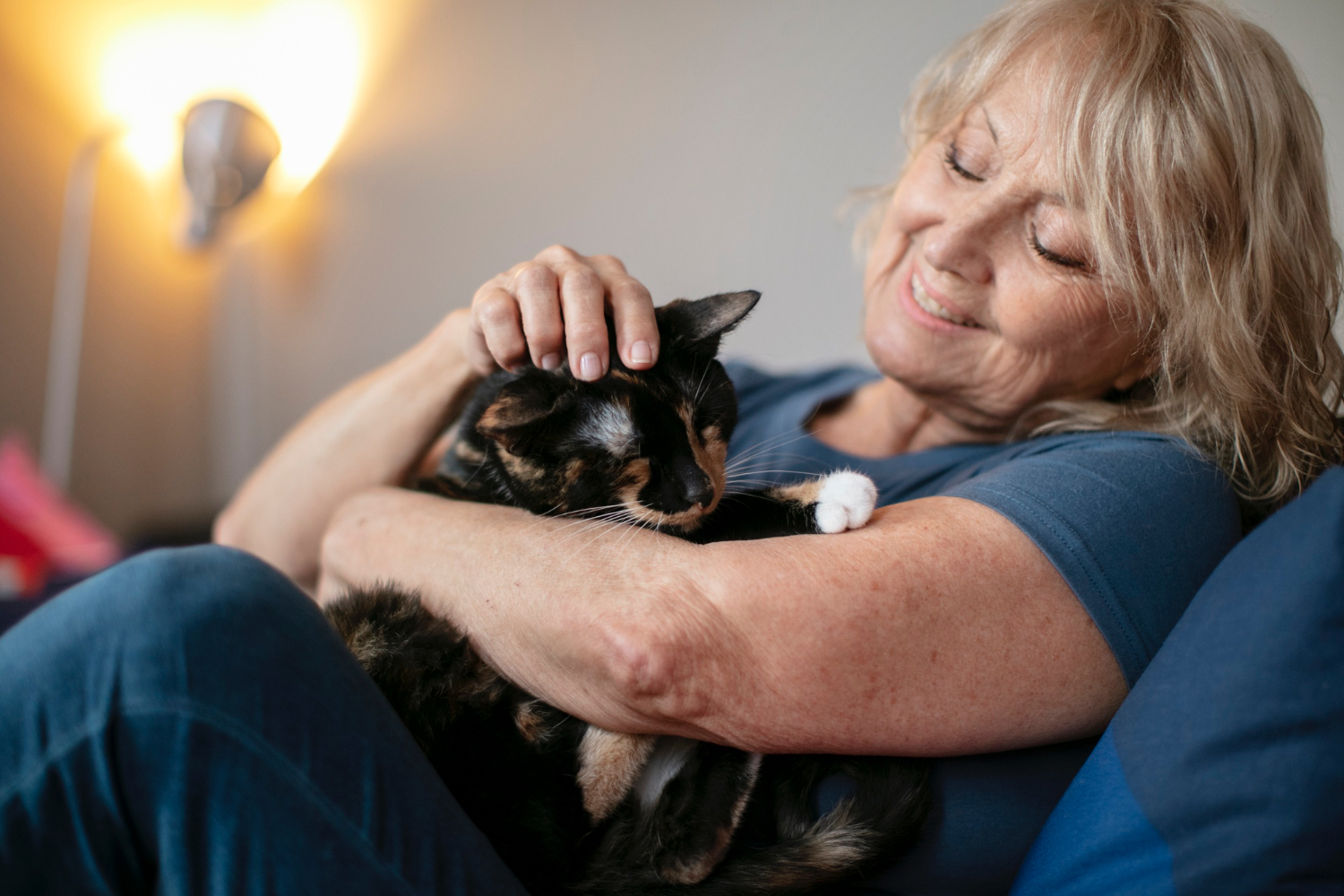 Senior Pet Care: Understanding the Health Needs of Aging Pets - Skillman Animal Clinic