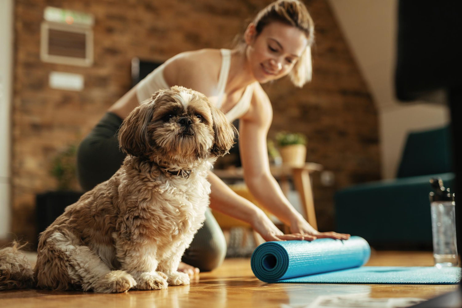 The Importance of Preventive Care in Pets: How to Keep Your Pet Healthy and Happy