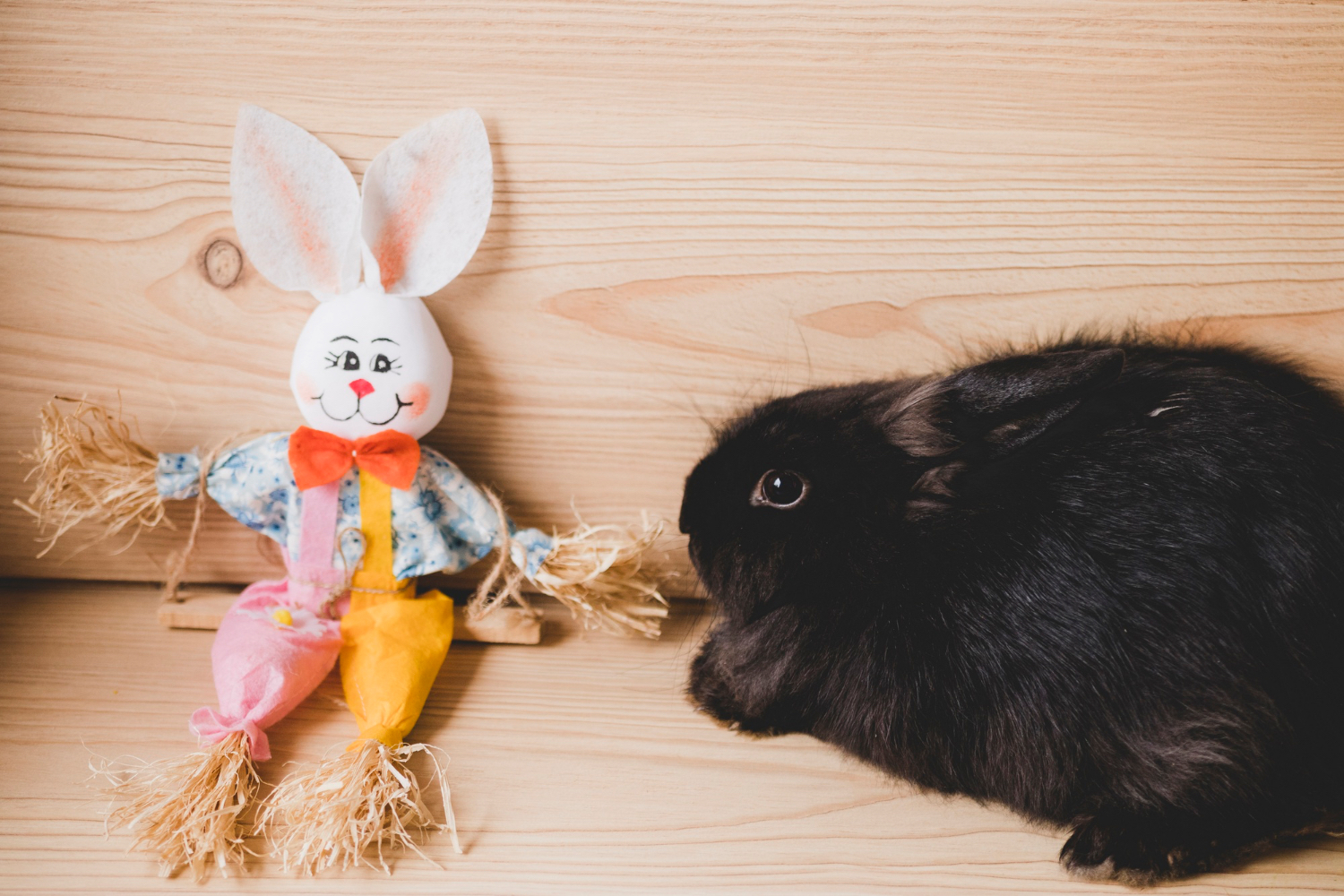 Easter Safety for Pets: How to Keep Your Pet Safe During the Holiday