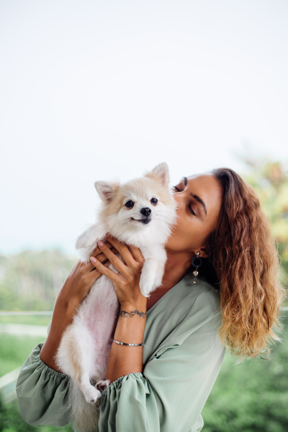 FHO Surgery for Pets at Skillman Animal Clinic