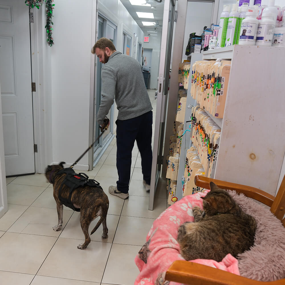 Interior of Skillman Animal Clinic