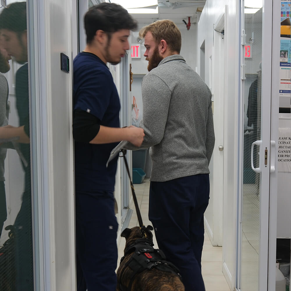 Interior of Skillman Animal Clinic